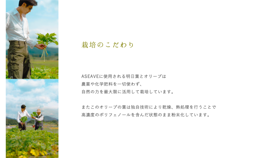 ASEAVE(アシーブ)【スティックタイプ】(日本国内・沖縄除く)